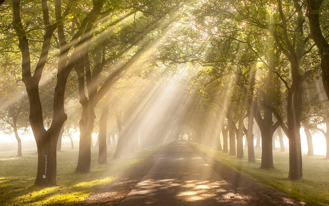 heavens_gate____________by_betuwefotograaf-dbsixol